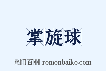 掌旋球是什么意思的图片